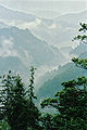Adlitzgraben misty day.jpg