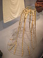 BLW Cage Crinoline.jpg