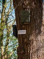 Hedeby, Busdorf (P1100654).jpg