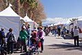 2013 Tucson Festival of Books.jpg