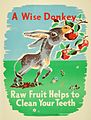 "A Wise Donkey" (16028258676).jpg