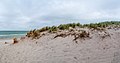 Dune, Dierhagen (P1100758-Pano).jpg