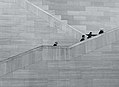 Gloomy staircase 1 (Unsplash).jpg