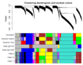 Clustering dendrogram.png