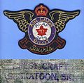 -17 SFTS Souris, Manitoba Pilot circa 1943-1945. Crest Craft back-stamp.jpg