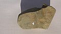 Backside-of-Kinneyia-like-fossil-6181.jpg