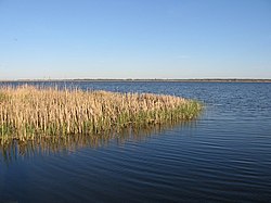 Resko Przymorskie 2007-05.jpg