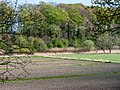 Gronsfurther Berge, Rendsburg ( 1100735).jpg