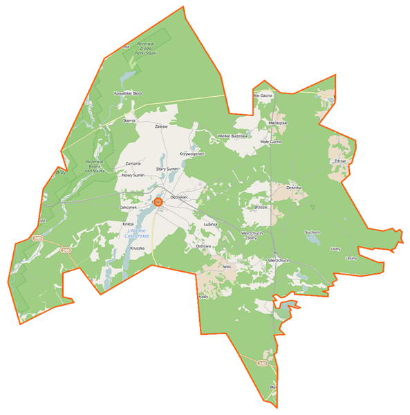 File:Cekcyn (gmina) location map.png