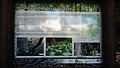 Tablica informacyjna w Lasku Bielańskim 3.jpg