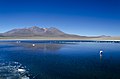 Flora y fauna en la Laguna Colorada.jpg