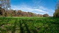 Gronsfurther Berge, Rendsburg (P1100720-Pano).jpg