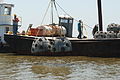 Lake Pontchartrain Basin Foundation Reef Balls, 2009.jpg