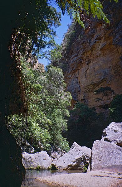File:" Canyon des Singes " (9589937212).jpg