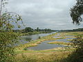 Berges Escaut lagunées 2011 juillet c.jpg