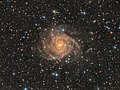 IC342 Galaxy.jpg