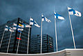 09. Finnish flags.jpg