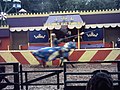 Camelot Theme Park, Jousting 2010.jpg