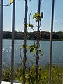 Himmel und Wasser.jpg