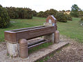 "A merciful man is merciful to his beast" - geograph.org.uk - 174023.jpg