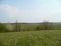Stary Borek - wzgórze (widok na Błotnicę i Przećmino) - panoramio.jpg