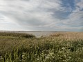 Bodden Landscape, Ribnitz-Damgarten (LRM 20200529 184621-hdr).jpg
