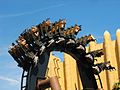 Black mamba looping.jpg