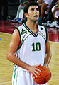 Dejan Bodiroga green.jpg