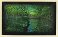 Alberto Rey (b. 1960), Biological Regionalism Headwaters, Scajaquada Creek, Erie County, New York, USA, 2012 13.jpg