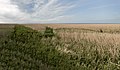 Bodden Landscape, Ribnitz-Damgarten (LRM 20200529 185614-hdr-HDR-Pano).jpg