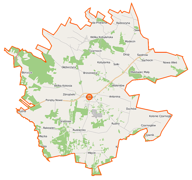 File:Dobre (gmina w województwie mazowieckim) location map.png
