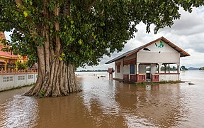 Flooded building and tree trunk in the muddy water of the Mekong in Si Phan Don, Laos, September 2019.jpg