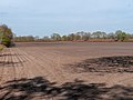 Gronsfurther Berge, Rendsburg ( 1100731).jpg