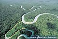 Amazonas032.jpg