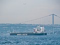 Bosphorus, Istanbul (P1100298).jpg