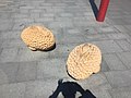 Sculpture sandstone sponges darling harbour NSW.jpg