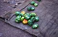 "African Eggplant" at the market in Kedougou, Senegal (West Africa) (535274253).jpg