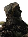 "A Rugged Scot" - geograph.org.uk - 1613360.jpg
