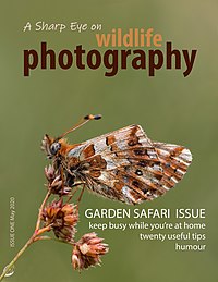 Front cover of A Sharp Eye on wildlife photography - Issue One.jpg