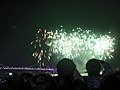 2008 Busan Firework Festival-Firework6.JPG
