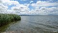 Dźwirzyno , Polska - panoramio (105).jpg
