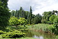 Arboretum w Kórniku.jpg