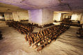 Carriere de meriel shiitake.jpg