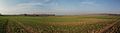 Kądzielno Pola (miejsa bitew w XVIII i XIX w) z widokiem na Bullenwinkel (Mirocice) nieistniejącą obecnie wieś - panoramio.jpg