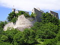 Burgruine Falkenstein (Niederösterreich).jpg
