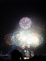 2008 Busan Firework Festival-Firework4.JPG