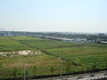 Gangseo-gu(Busan) north.jpg