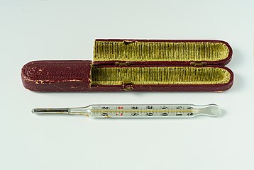 Medical mercury thermometer with velvet-lined cardboard box - focus stack (2020-05-25).jpg