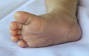 Sole of foot of a two week old Asian infant on a white bed sheet, focus stacking.jpg