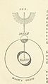 Image taken from page 63 of 'The Boston School Atlas. With elemental geography and astronomy, etc. (Fourth edition.) (Maps, with explanatory text.)' (11003022535).jpg